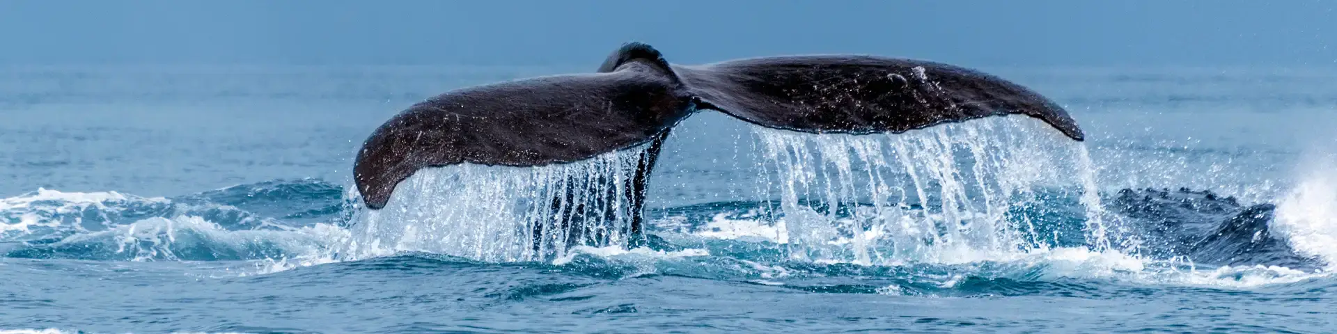 Beratung für Nachhaltigkeit und ESG Beratung für Nachhaltigkeit und ESG